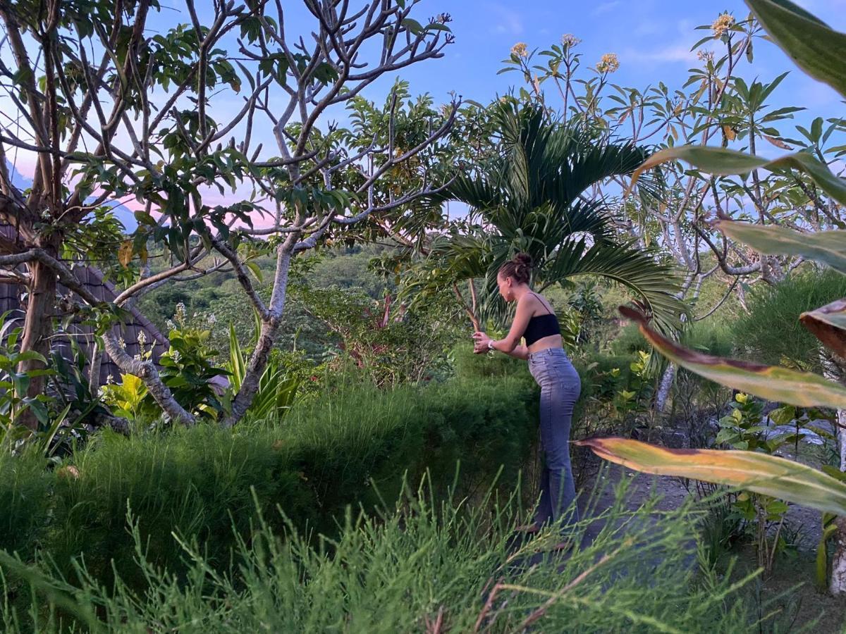 The Pancor Jungle Resort Ped 外观 照片
